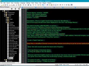 Notepad (++) screen