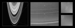 saturns shepards